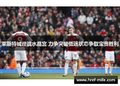 莱斯特城迎战水晶宫 力争突破低迷状态争取宝贵胜利