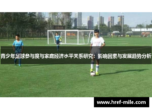 青少年足球参与度与家庭经济水平关系研究:影响因素与发展趋势分析 青少年足球参与度与家庭经济水平关系研究:影响因素与发展趋势分析
