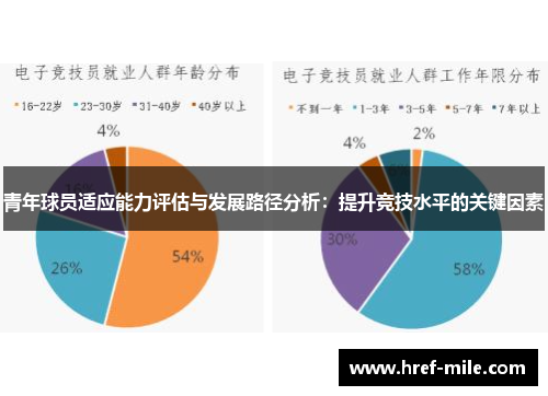 青年球员适应能力评估与发展路径分析:提升竞技水平的关键因素 青年球员适应能力评估与发展路径分析:提升竞技水平的关键因素