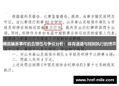 魏震禁赛事件的合理性与争议分析：体育道德与规则执行的博弈