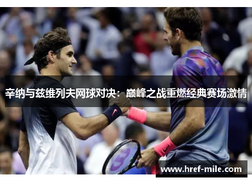 辛纳与兹维列夫网球对决：巅峰之战重燃经典赛场激情