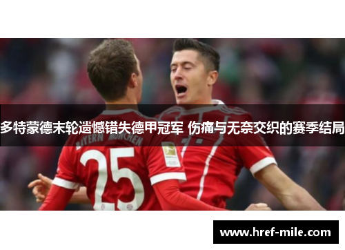 多特蒙德末轮遗憾错失德甲冠军 伤痛与无奈交织的赛季结局 多特蒙德末轮遗憾错失德甲冠军 伤痛与无奈交织的赛季结局