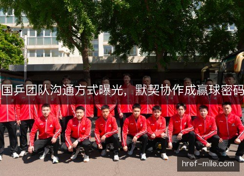 国乒团队沟通方式曝光,默契协作成赢球密码 国乒团队沟通方式曝光,默契协作成赢球密码